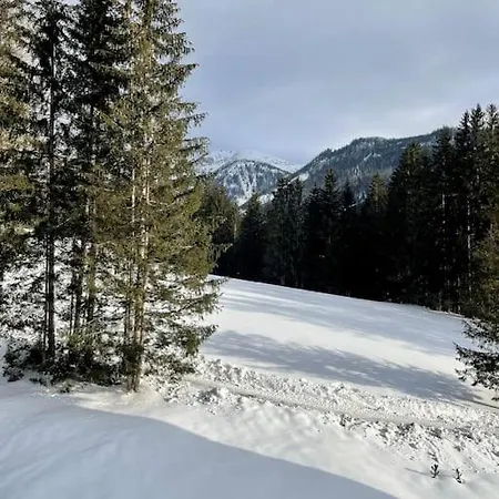 Appartement Alpenurlaub Ii Mit Traumausblick Bad Mitterndorf
