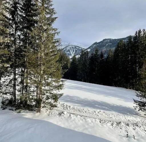 Lejlighed Alpenurlaub Ii Mit Traumausblick Bad Mitterndorf